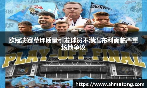 IM电竞官网