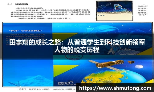IM电竞官网