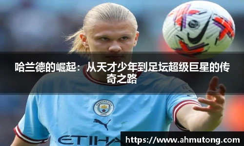 k1体育官方网站