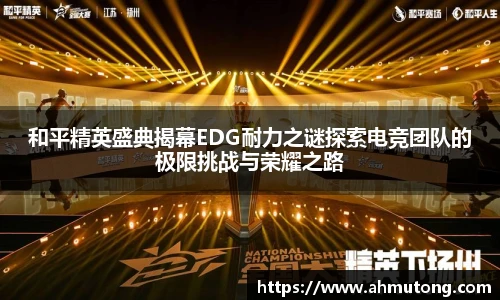 和平精英盛典揭幕EDG耐力之谜探索电竞团队的极限挑战与荣耀之路